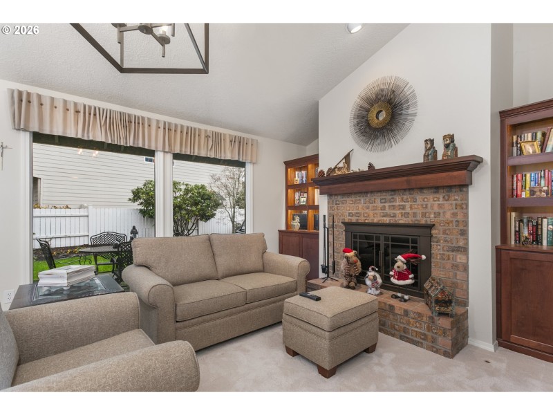 Fireplace Gas Burning Stove/Insert