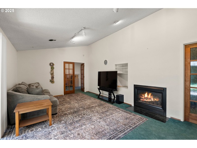 Fireplace Gas