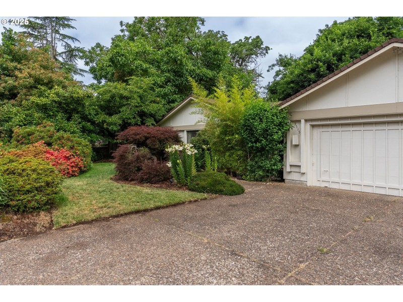 Front Yard