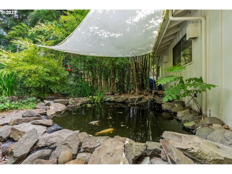 Pond