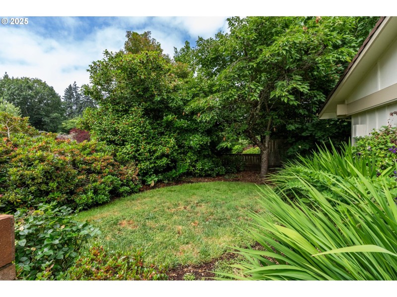 Front Yard