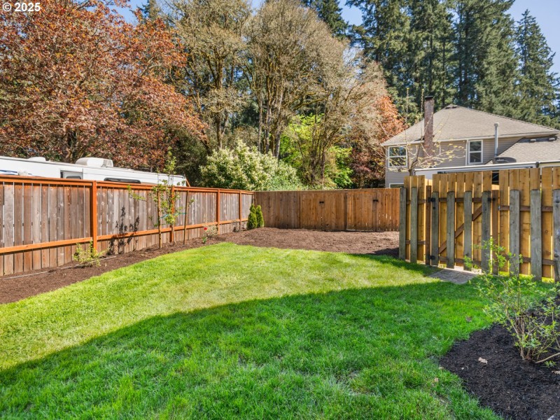 Backyard