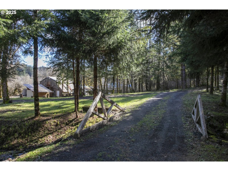 Driveway