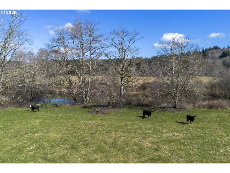 Pasture
