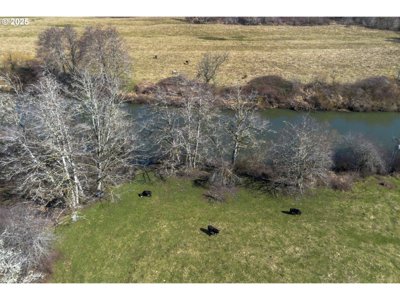 Pasture