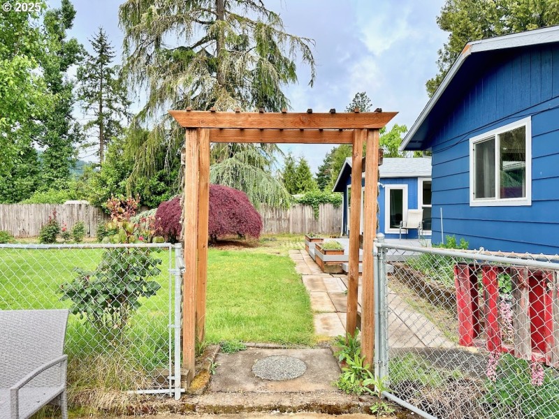 Backyard