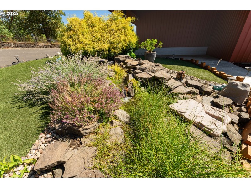 Water Feature