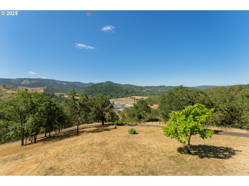Pasture