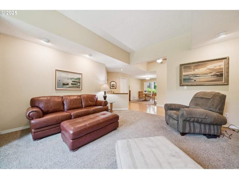 Living Room/Entrance