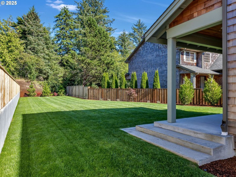 Backyard