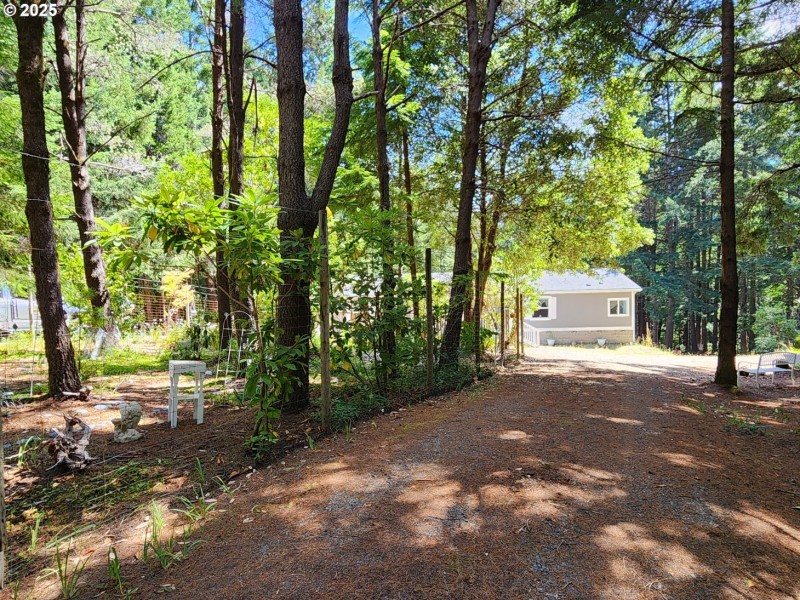 Driveway