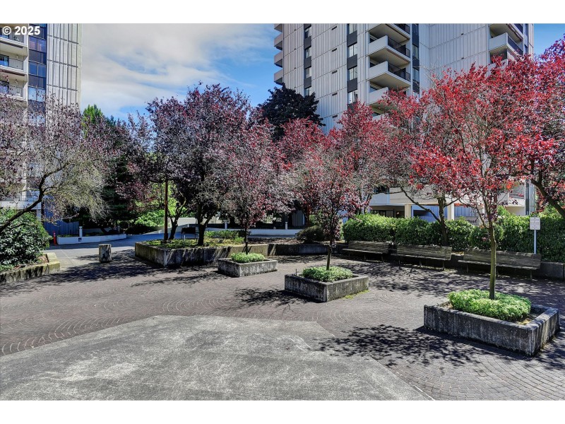 Community Park