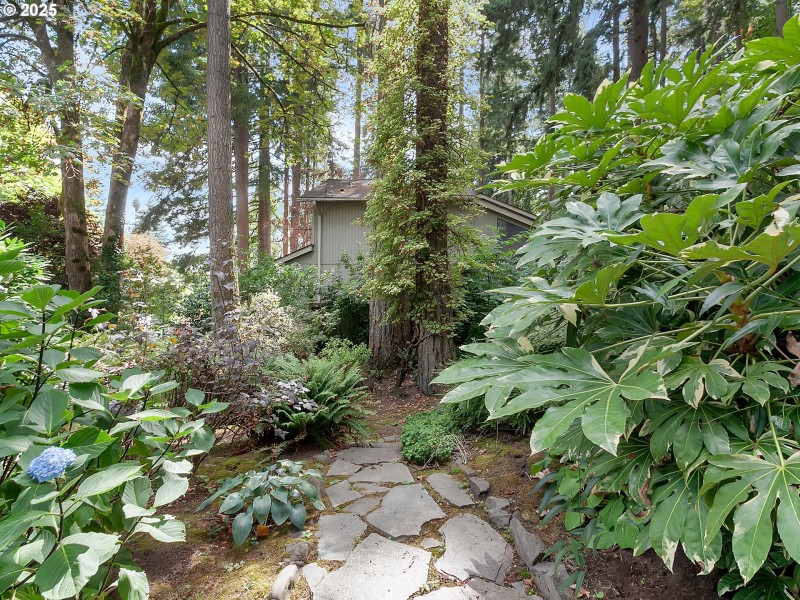 Front Yard