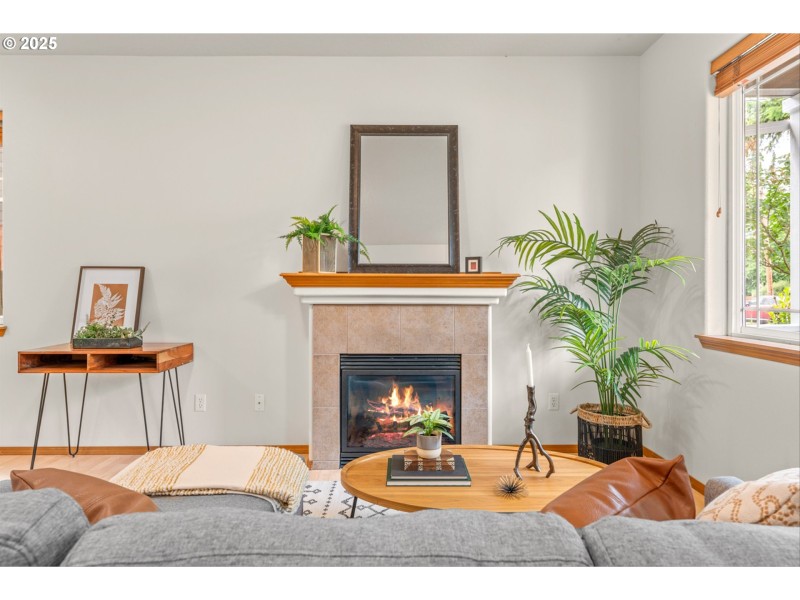 Fireplace Gas