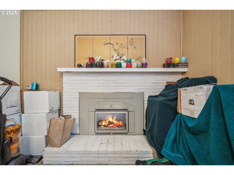Fireplace Gas