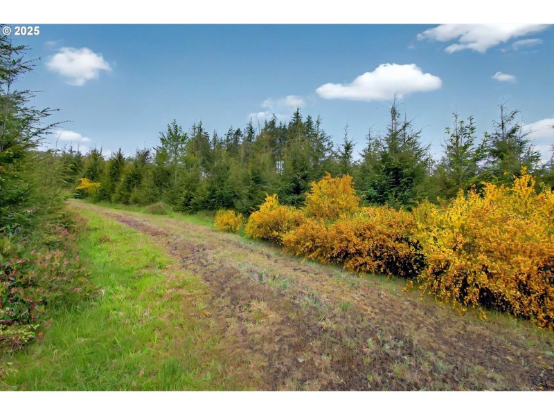 Acreage