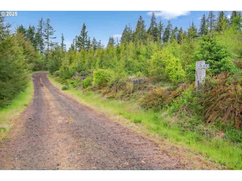 Acreage