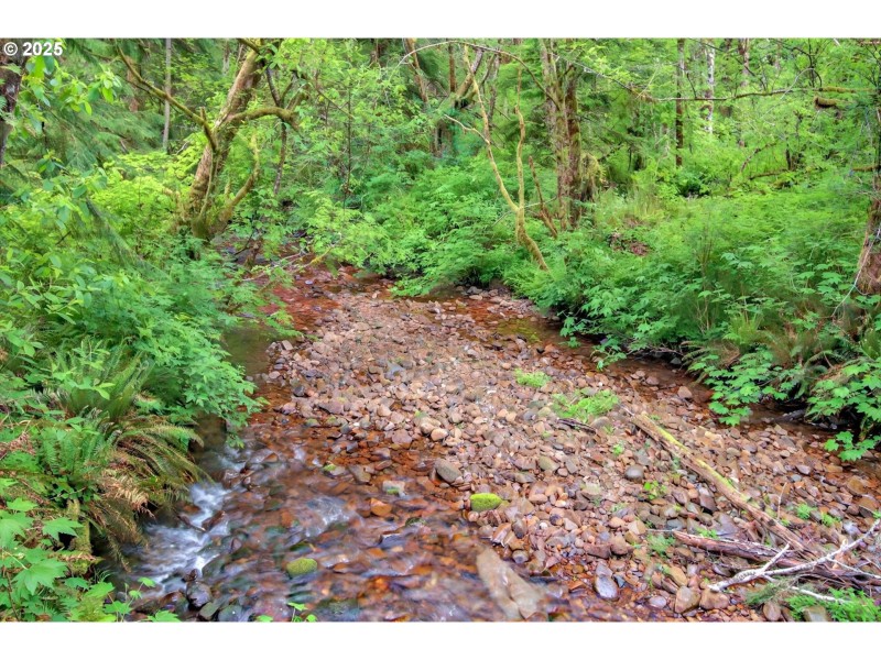 Creek
