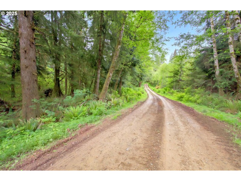 Acreage