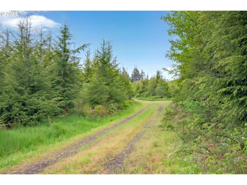 Acreage