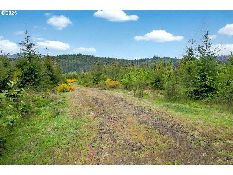 Acreage