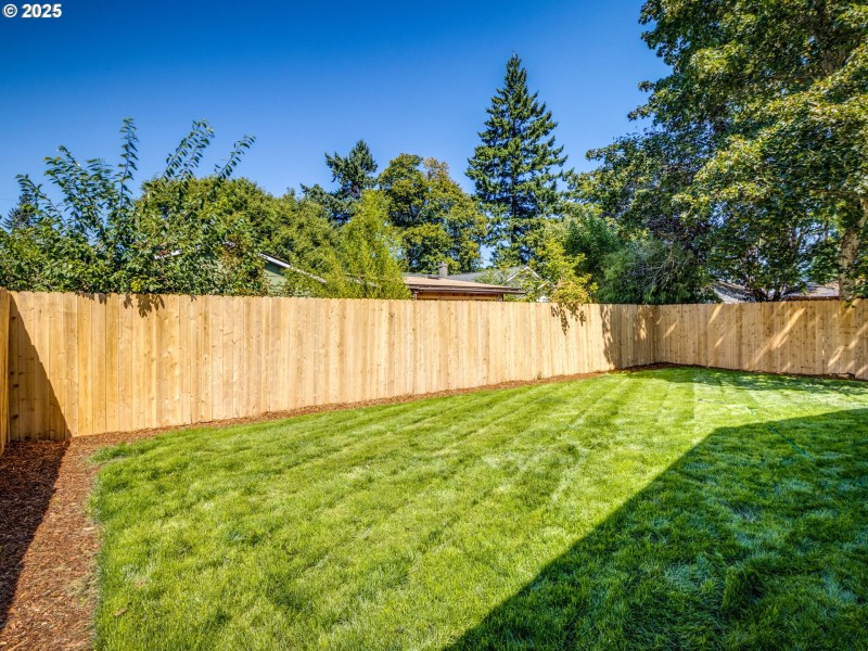 Yard