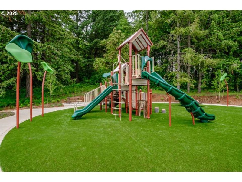 Community Park