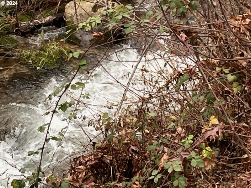 Creek
