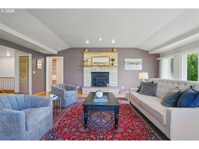 Fireplace Insert