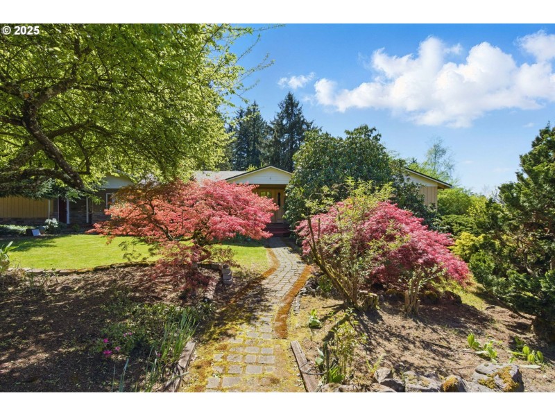 Front Yard