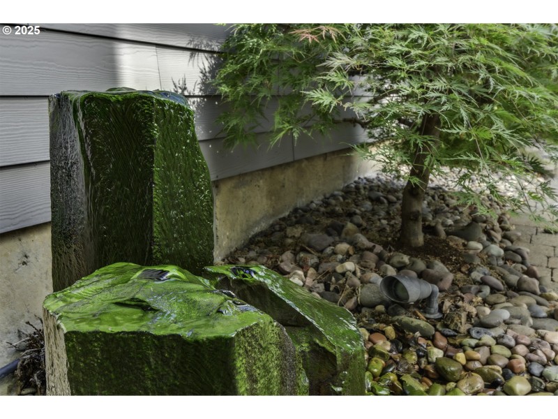 Water Feature