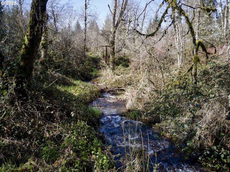 Creek