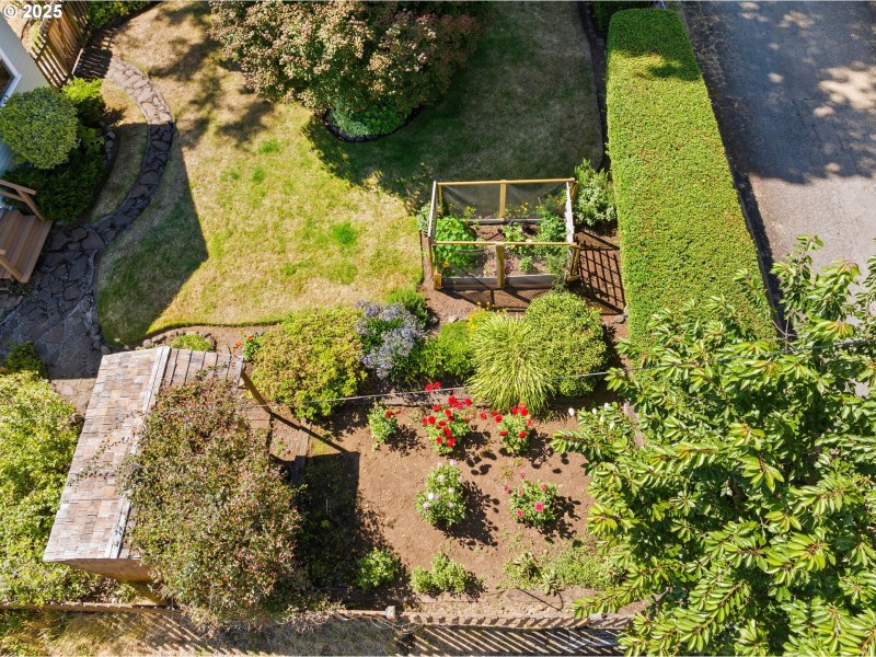 Drone View/UAV