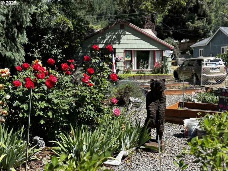 Yard