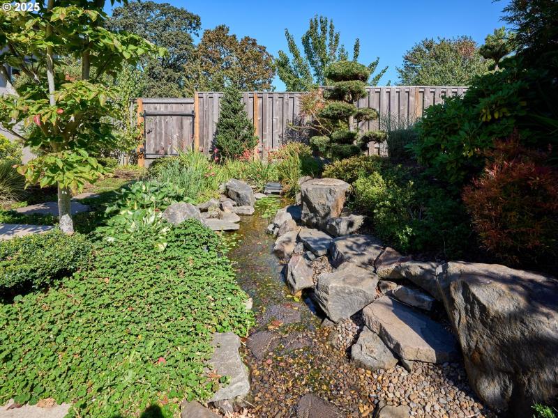 Water Feature
