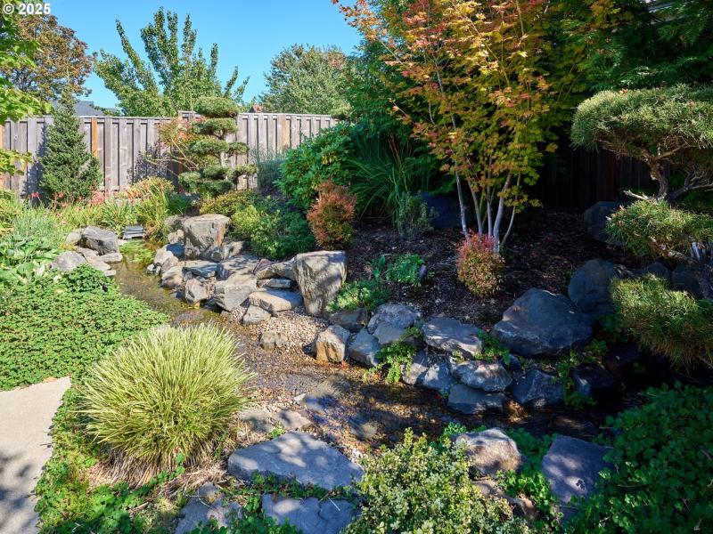 Water Feature