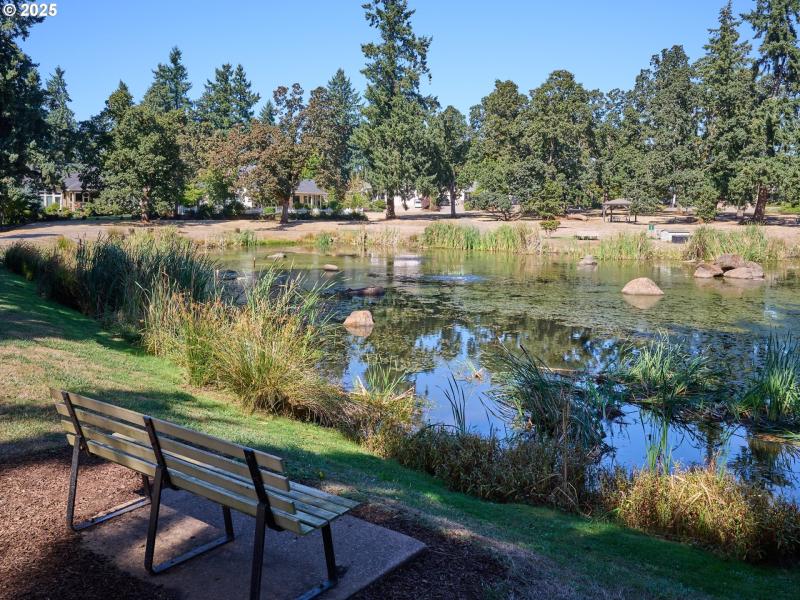 Community Park