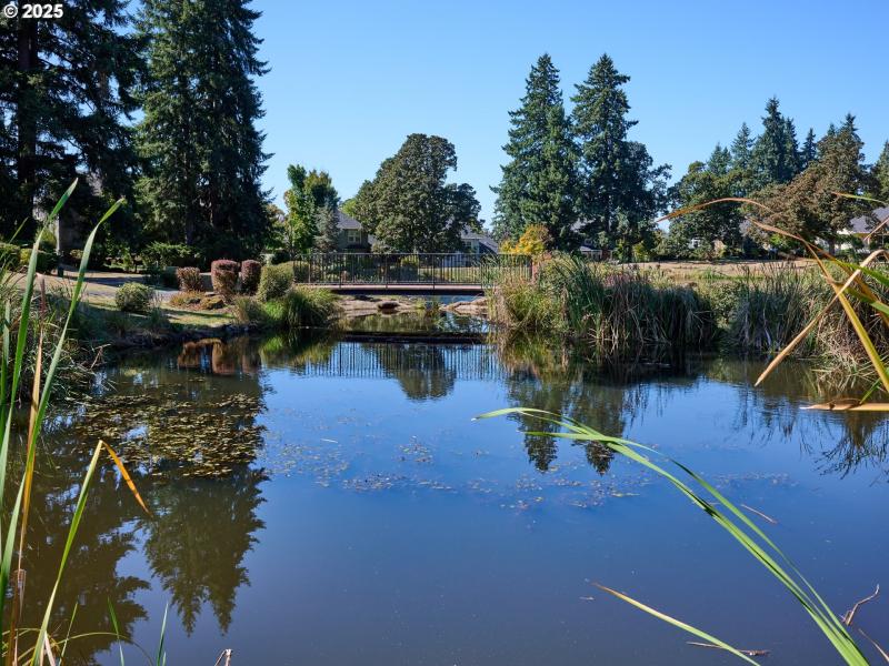 Community Park