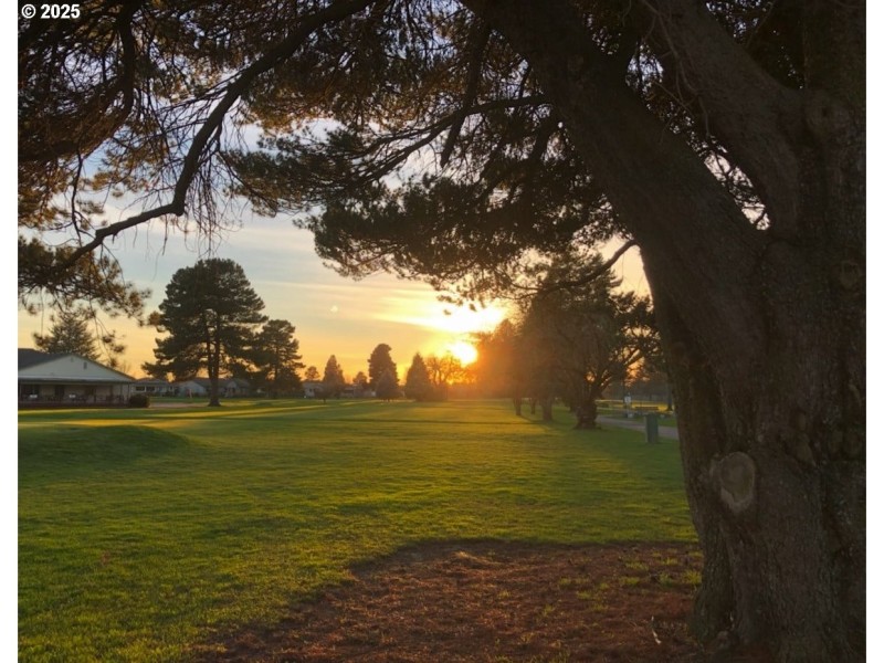Community Amenities