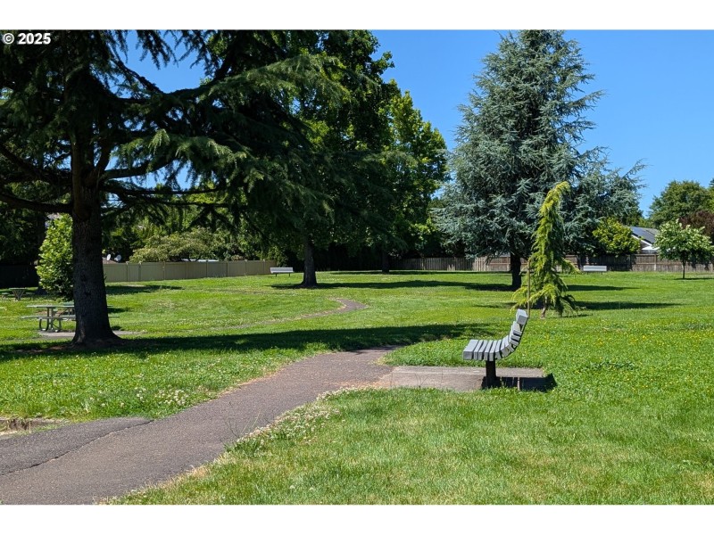 Community Park