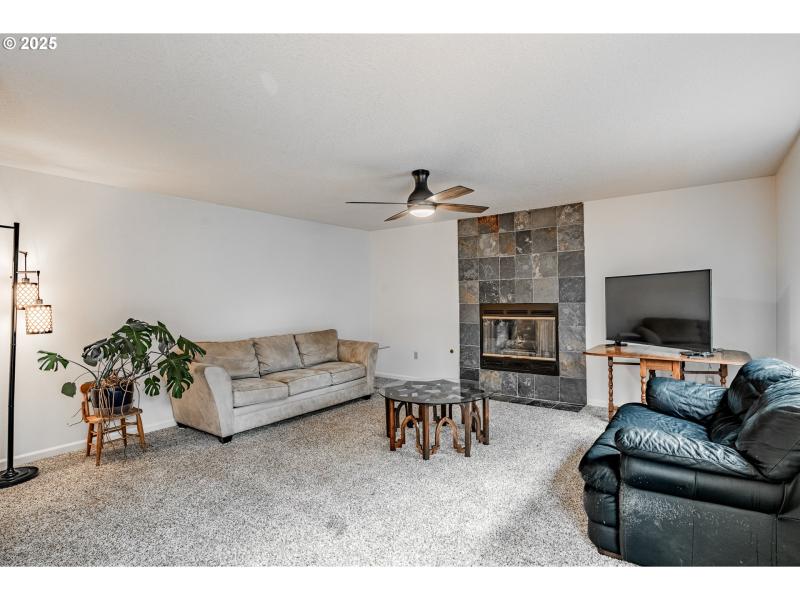 Living Room/Entrance