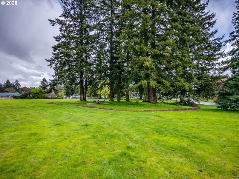 Community Park