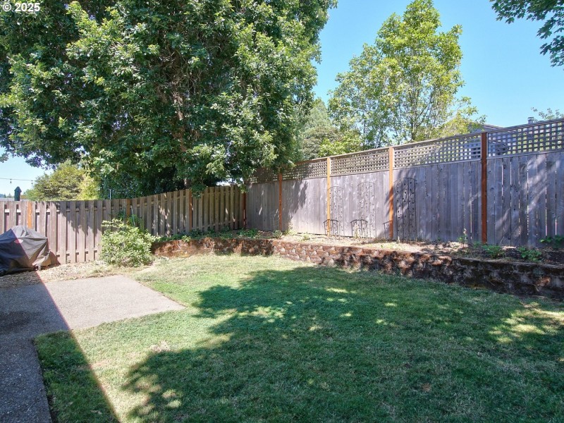 Front Yard