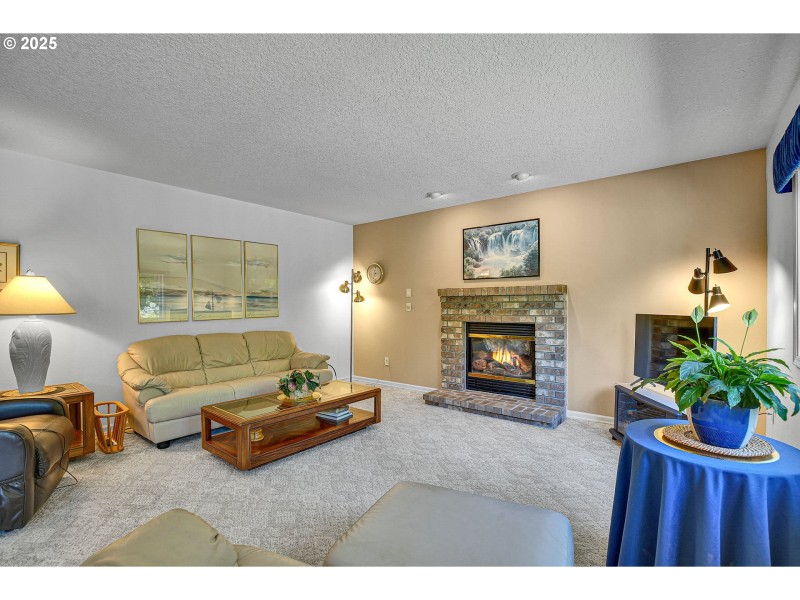 Fireplace Gas