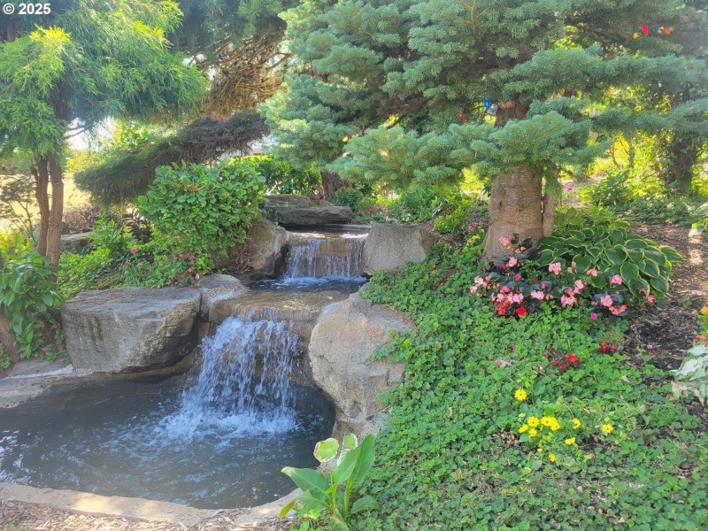 Water Feature