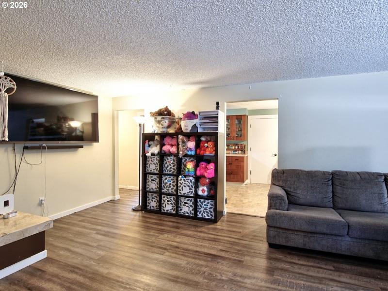 Living Room/Entrance