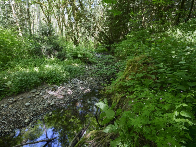 Creek