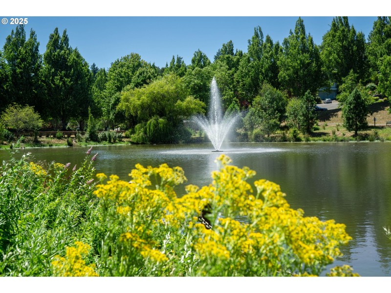 Community Park