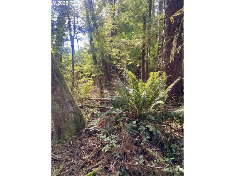 Approximate Property Lines