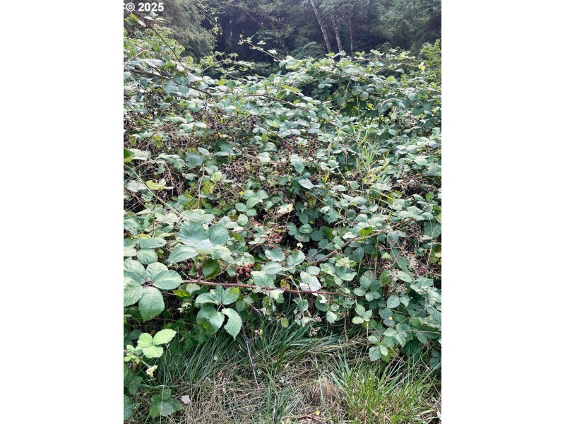 Acreage